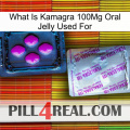 What Is Kamagra 100Mg Oral Jelly Used For 37